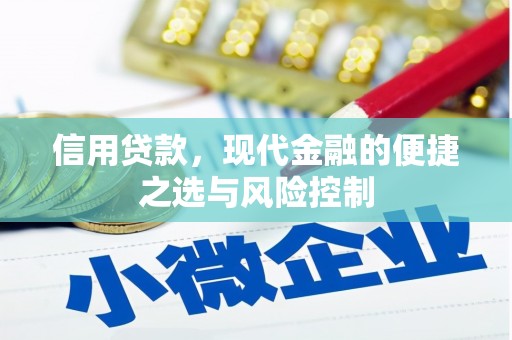 云梦信用贷款，现代金融的便捷之选与风险控制