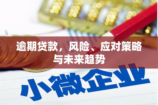 云梦逾期贷款，风险、应对策略与未来趋势