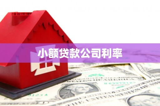 云梦小额贷款公司利率