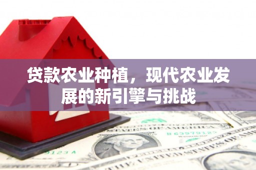 云梦贷款农业种植，现代农业发展的新引擎与挑战