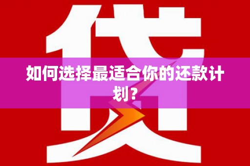 云梦如何选择最适合你的还款计划？