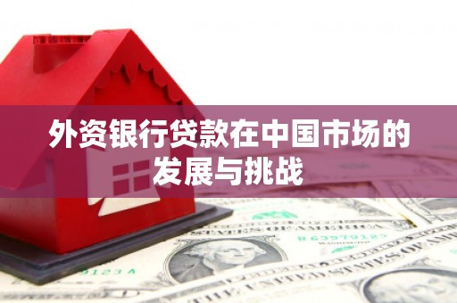 云梦外资银行贷款在中国市场的发展与挑战