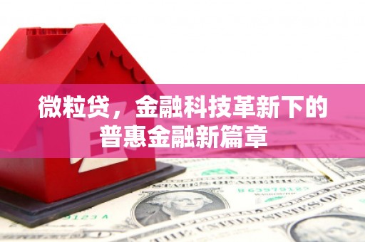 云梦微粒贷，金融科技革新下的普惠金融新篇章