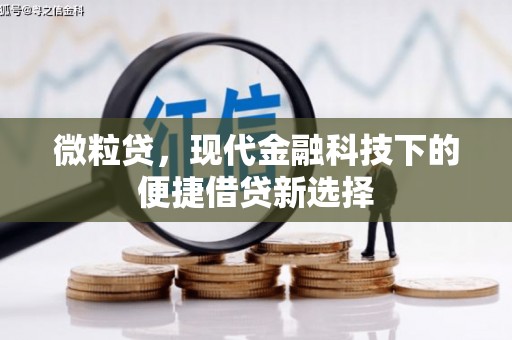 云梦微粒贷，现代金融科技下的便捷借贷新选择