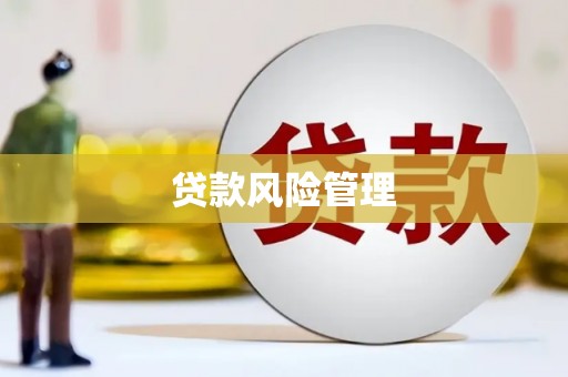 云梦贷款风险管理