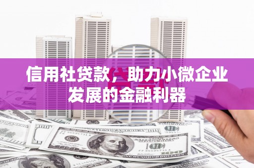 云梦信用社贷款，助力小微企业发展的金融利器