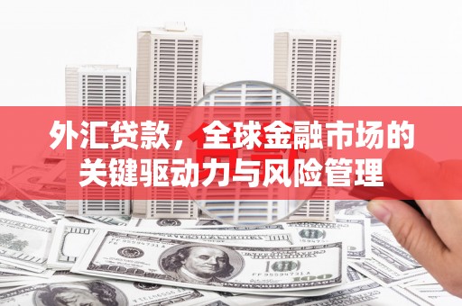云梦外汇贷款，全球金融市场的关键驱动力与风险管理