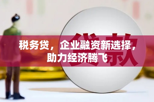 云梦税务贷，企业融资新选择，助力经济腾飞