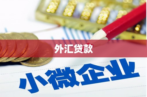 云梦外汇贷款