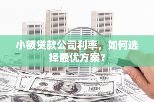 云梦小额贷款公司利率，如何选择最优方案？