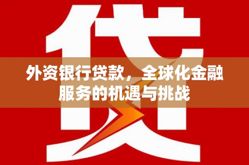 云梦外资银行贷款，全球化金融服务的机遇与挑战