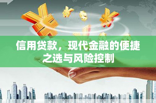 云梦信用贷款，现代金融的便捷之选与风险控制