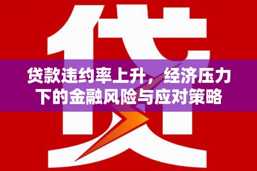 云梦贷款违约率上升，经济压力下的金融风险与应对策略