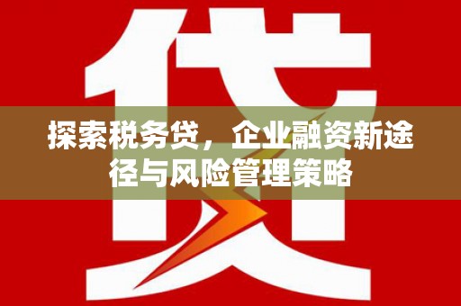 云梦探索税务贷，企业融资新途径与风险管理策略