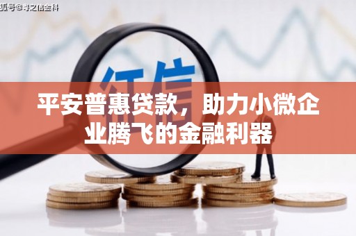 云梦平安普惠贷款，助力小微企业腾飞的金融利器