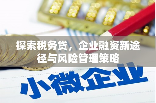 云梦探索税务贷，企业融资新途径与风险管理策略