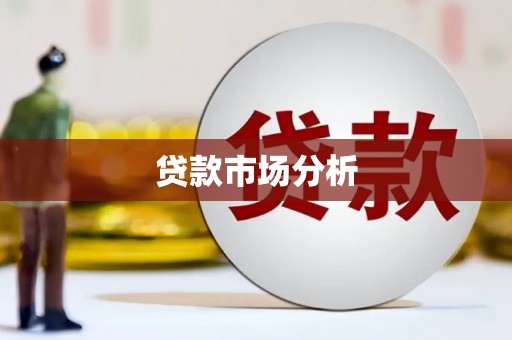云梦贷款市场分析