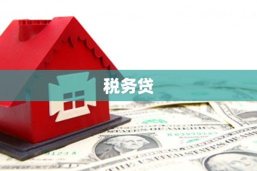 云梦税务贷