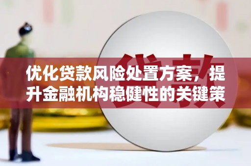 云梦优化贷款风险处置方案，提升金融机构稳健性的关键策略