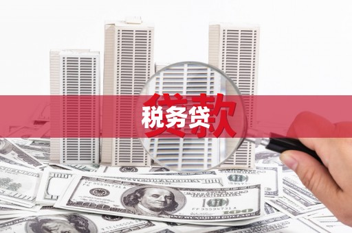云梦税务贷