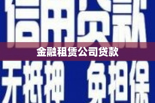云梦金融租赁公司贷款