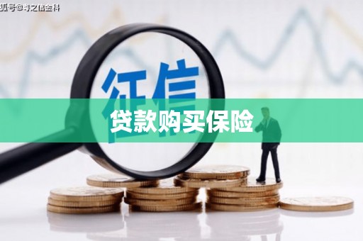 云梦贷款购买保险