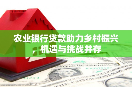 云梦农业银行贷款助力乡村振兴，机遇与挑战并存