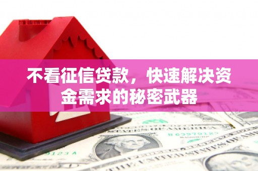 云梦不看征信贷款，快速解决资金需求的秘密武器