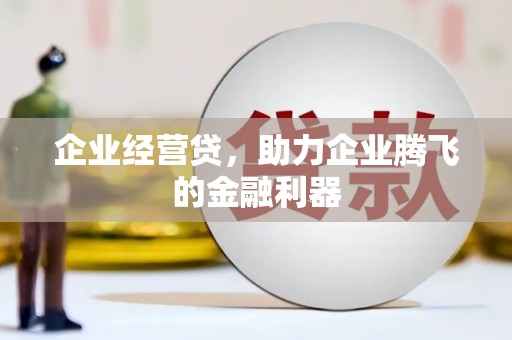 云梦企业经营贷，助力企业腾飞的金融利器