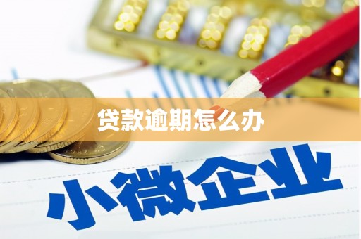 云梦贷款逾期怎么办