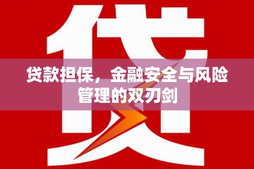 云梦贷款担保，金融安全与风险管理的双刃剑