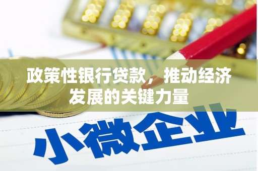 云梦政策性银行贷款，推动经济发展的关键力量