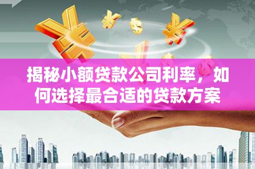云梦揭秘小额贷款公司利率，如何选择最合适的贷款方案