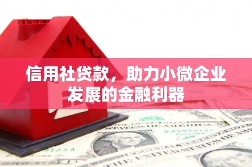云梦信用社贷款，助力小微企业发展的金融利器