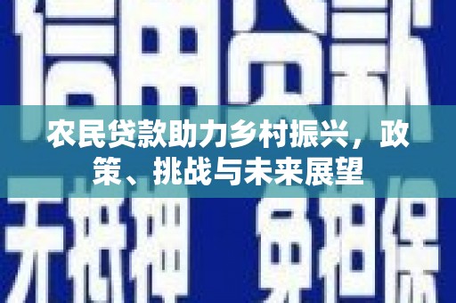 云梦农民贷款助力乡村振兴，政策、挑战与未来展望