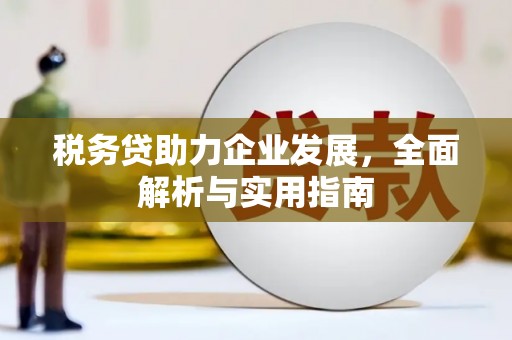 云梦税务贷助力企业发展，全面解析与实用指南