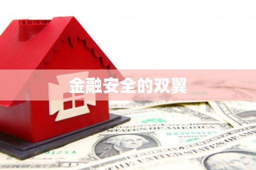 云梦金融安全的双翼