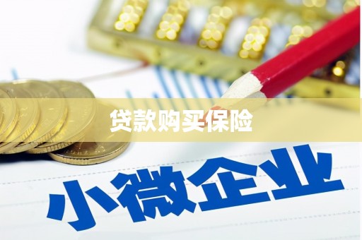 云梦贷款购买保险