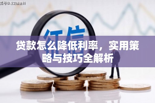 云梦贷款怎么降低利率，实用策略与技巧全解析