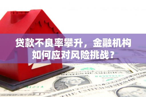 云梦贷款不良率攀升，金融机构如何应对风险挑战？