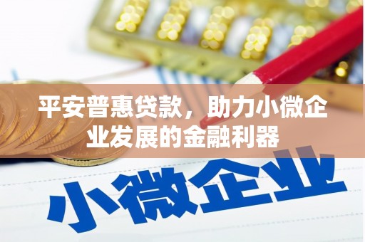 云梦平安普惠贷款，助力小微企业发展的金融利器