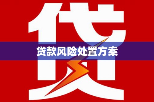 云梦贷款风险处置方案