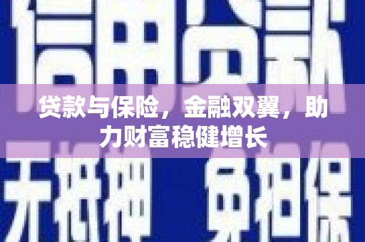 云梦贷款与保险，金融双翼，助力财富稳健增长