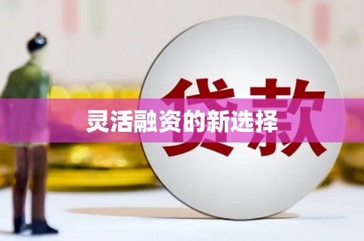 云梦灵活融资的新选择