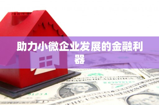 云梦助力小微企业发展的金融利器