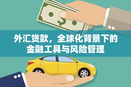 云梦外汇贷款，全球化背景下的金融工具与风险管理